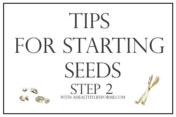 Tips for Starting Seeds for your Vegetable Garden | ahealthylifeforme.com